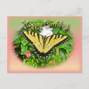 Happy Birthday Greeting Tiger Swallowtail Butterfl Briefkaart