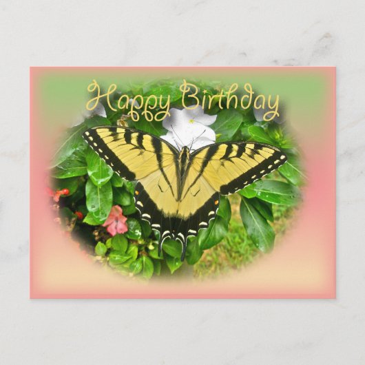 Happy Birthday Greeting Tiger Swallowtail Butterfl Briefkaart (Voorkant)