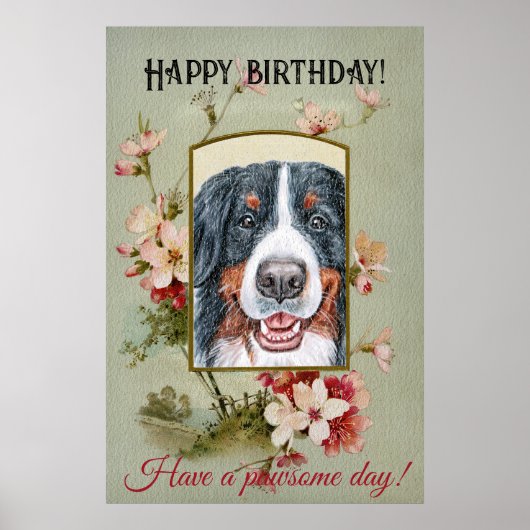 Happy Birthday Greetings Bernese Mountain Dog Poster (Voorkant)