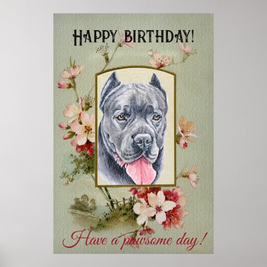 Happy Birthday Greetings Cane corso Poster (Voorkant)