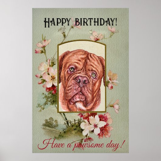 Happy Birthday Greetings French mastiff Poster (Voorkant)