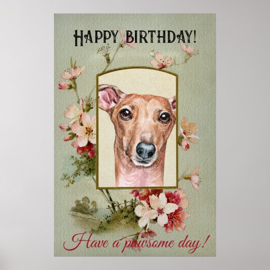 Happy Birthday Greetings Italiaans Greyhound Poster (Voorkant)