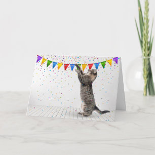 Happy Birthday Grey Tabby Cat in Confetti Kaart