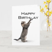 Happy Birthday Grey Tabby Cat Kaart (Gele Bloem)