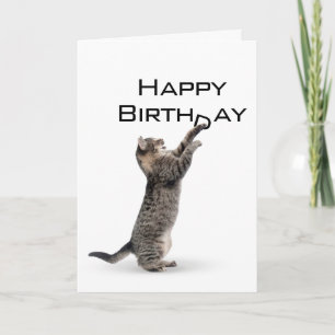 Happy Birthday Grey Tabby Cat Kaart