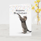 Happy Birthday Grey Tabby Cat Kaart (Gele Bloem)