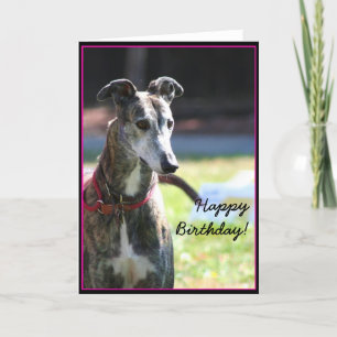 Happy Birthday Greyhound wenskaart Kaart