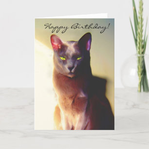 Happy Birthday Grijze kat wenskaart Kaart