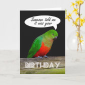 Happy Birthday groen en rood King Parrot Kaart (Gele Bloem)