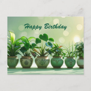 Happy Birthday Groene kamerplanten in de potten Briefkaart