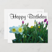 Happy Birthday groots Daffodil #2 Briefkaart (Voorkant / Achterkant)