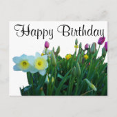 Happy Birthday groots Daffodil #2 Briefkaart (Voorkant)