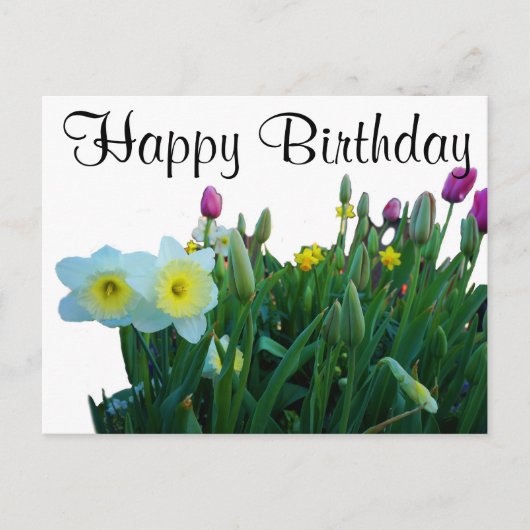 Happy Birthday groots Daffodil #2 Briefkaart (Voorkant)