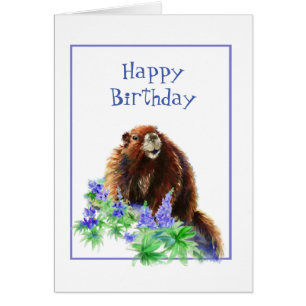 Happy Birthday Groundhog Day Humor