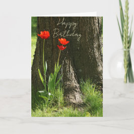 Happy Birthday Grußkarte mit roten Tulpen Kaart