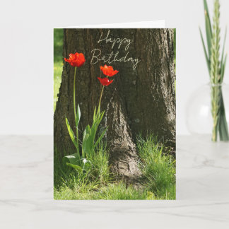 Happy Birthday Grußkarte mit roten Tulpen Kaart