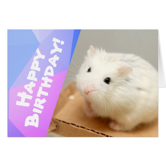 Happy Birthday - Hammyville White Hamster (Voorkant Horizontaal)