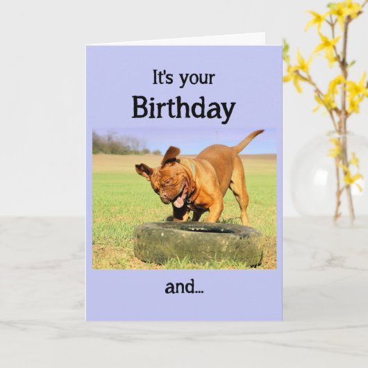 Happy Birthday Happy Dog Fun wil graag Kaart (Gele Bloem)