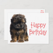 Happy Birthday Havanese Puppy Dog Briefkaart (Voorkant / Achterkant)