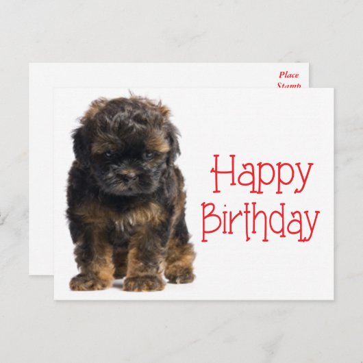 Happy Birthday Havanese Puppy Dog Briefkaart (Voorkant / Achterkant)