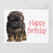 Happy Birthday Havanese Puppy Dog Briefkaart (Voorkant)
