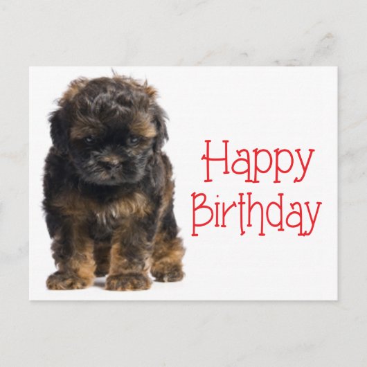 Happy Birthday Havanese Puppy Dog Briefkaart (Voorkant)
