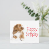Happy Birthday Havanese Puppy Dog Briefkaart (Staand voorkant)