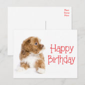Happy Birthday Havanese Puppy Dog Briefkaart (Voorkant / Achterkant)