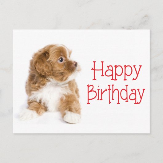 Happy Birthday Havanese Puppy Dog Briefkaart (Voorkant)