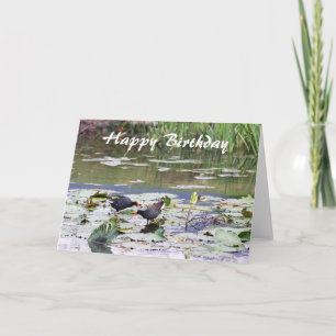 Happy Birthday Hawaiian Common Moorhen, Lily Pond Kaart