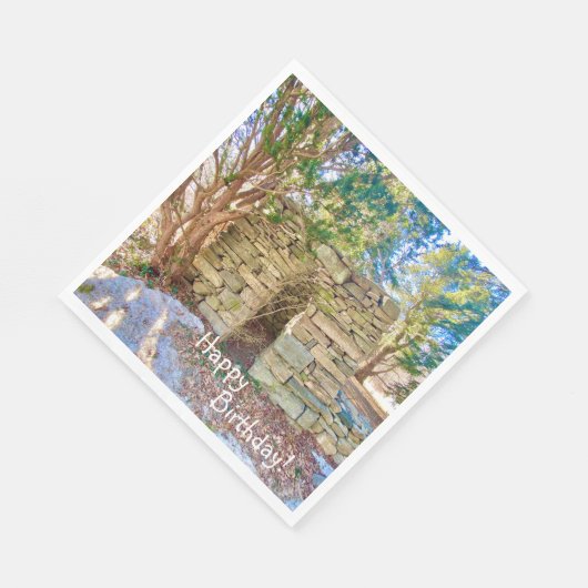 Happy Birthday History Buff Servet (Hoek)