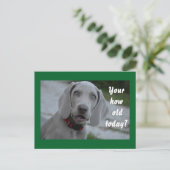 Happy Birthday Hond Humor Briefkaart (Staand voorkant)