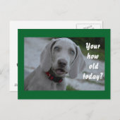 Happy Birthday Hond Humor Briefkaart (Voorkant / Achterkant)