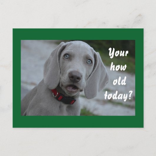 Happy Birthday Hond Humor Briefkaart (Voorkant)