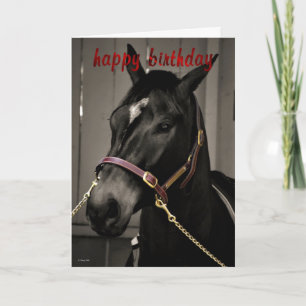 Happy Birthday Horse Birthday-kaartenliefhebbers Kaart