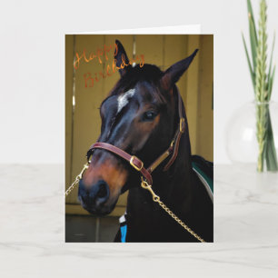 Happy Birthday Horse Birthday-kaartenliefhebbers Kaart