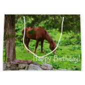 Happy Birthday Horse Groot Cadeauzakje (Voorkant)
