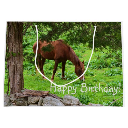 Happy Birthday Horse Groot Cadeauzakje (Voorkant)