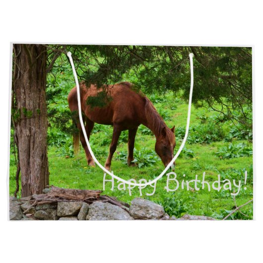 Happy Birthday Horse Groot Cadeauzakje (Achterkant)