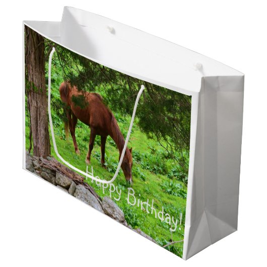 Happy Birthday Horse Groot Cadeauzakje (Voorkant Gekanteld)