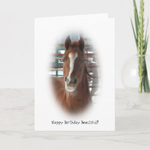 Happy Birthday Horse Kaart