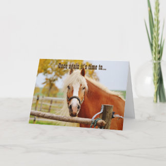 Happy Birthday Horse Kaart