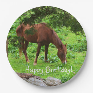 Happy Birthday Horse Papieren Bordje