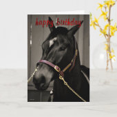 Happy Birthday Horse Verjaardagskaart paardenliefh Kaart (Gele Bloem)