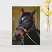 Happy Birthday Horse Verjaardagskaart paardenliefh Kaart (Gele Bloem)
