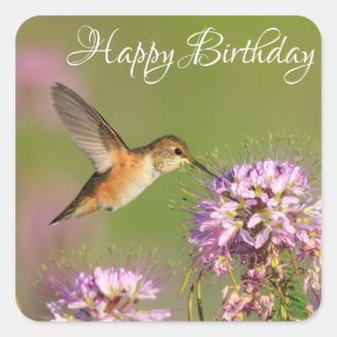 Happy Birthday Hummingbird and Wildbloemen Vierkante Sticker