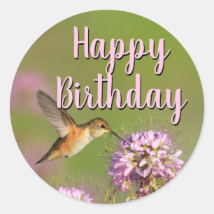 Happy Birthday Hummingbird Ronde Sticker