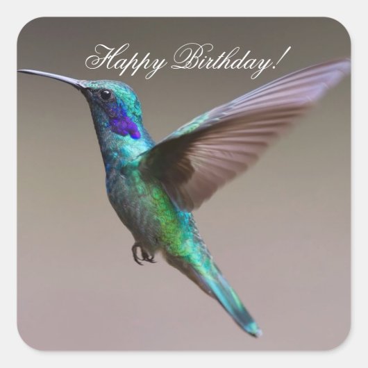 Happy Birthday Hummingbird Vierkante Sticker (Voorkant)