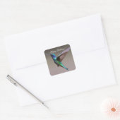 Happy Birthday Hummingbird Vierkante Sticker (Envelop)