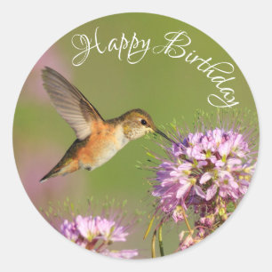 Happy Birthday Hummingbird Wildflower Ronde Sticker